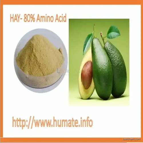 Animal Source or Plant Source Amino Acid Powder