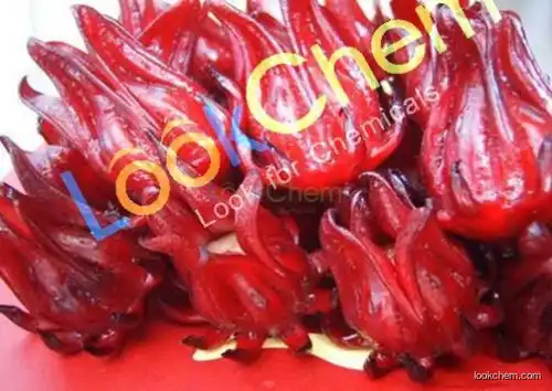 Good Quality Hibiscus Flower Extract