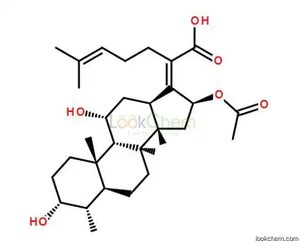 Fusidic acid 98% Purity