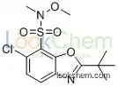 2-tert-butyl-6-chloro-N-methoxy-N-methyl-1,3-benzoxazole-7-sulfonamide manufacturer(1206896-20-9)