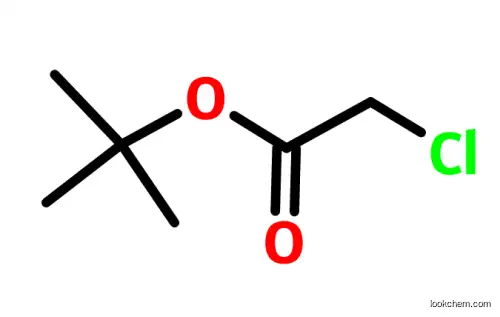 t-Bu Chloroacetate High Purity(107-59-5)