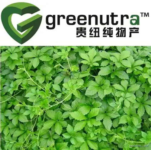 high quality Jiaogulan extract,hot sell Jiaogulan extract,GMPManufacturer Jiaogulan extract