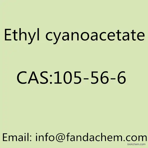 Ethyl cyanoacetate cas no: 105-56-6