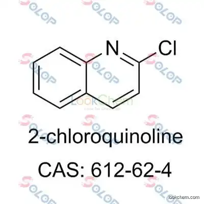 SOLOP high purity, low price, in stock, free sample 2-Chloroquinoline 612-62-4(612-62-4)
