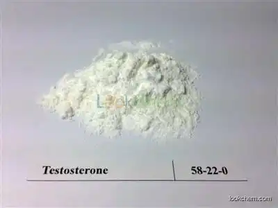 Testosterone CAS NO.58-22-0