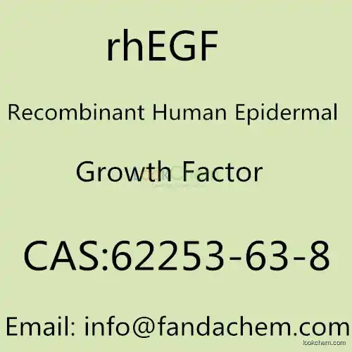 cas no 62253-63-8;rhEGF; Recombinant Human Epidermal Growth Factor