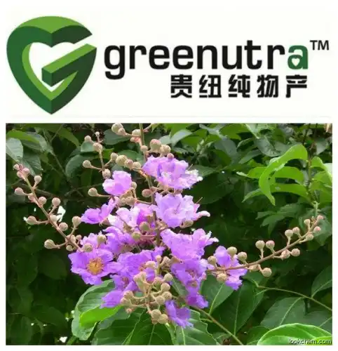 100%natural Lagerstroemia Speciosa Extract,Manufacturer Lagerstroemia Speciosa Extract,Manufacturer Supply High Quality Lagerstroemia Speciosa Extract