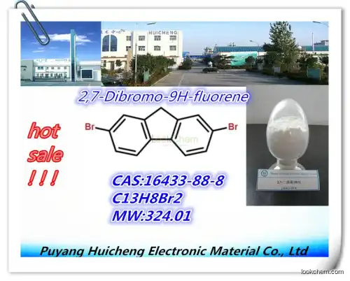 hot sale best priceHigh purity and quality  2,7-Dibromofluorene