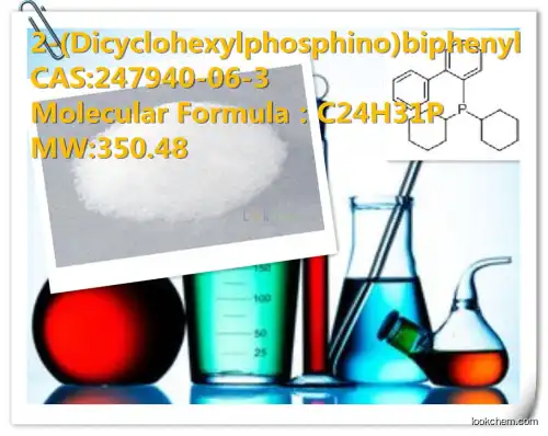 High purity and quality   regular manufacture 2-(Dicyclohexylphosphino)biphenyl