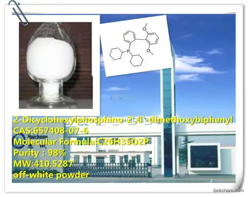 High purity  regular production  2-Dicyclohexylphosphino-2',6'-dimethoxybiphenyl