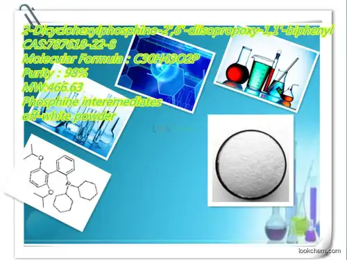 manufacturer   hot  sale of 2-Dicyclohexylphosphino-2',6'-diisopropoxy-1,1'-biphenyl