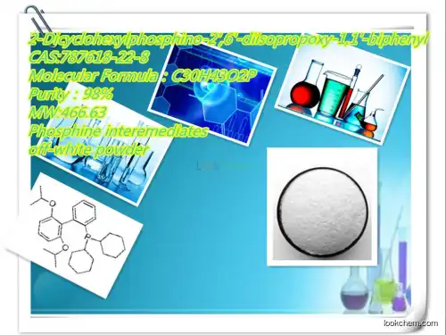 hot sale manufacturer of 2-Dicyclohexylphosphino-2',6'-diisopropoxy-1,1'-biphenyl