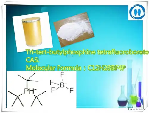 High purity and quality  large productionTri-tert-butylphosphine tetrafluoroborate