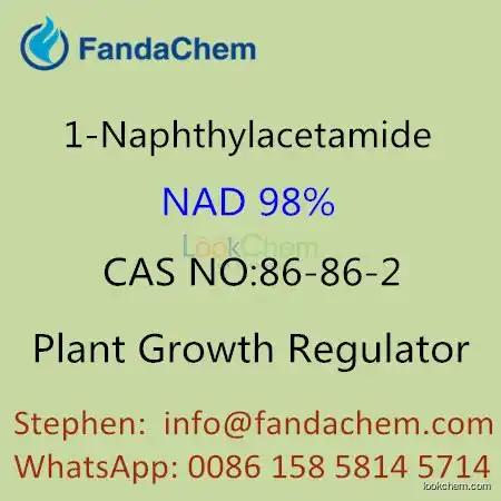 1-Naphthylacetamide(NAD) 98%, CAS NO: 86-86-2