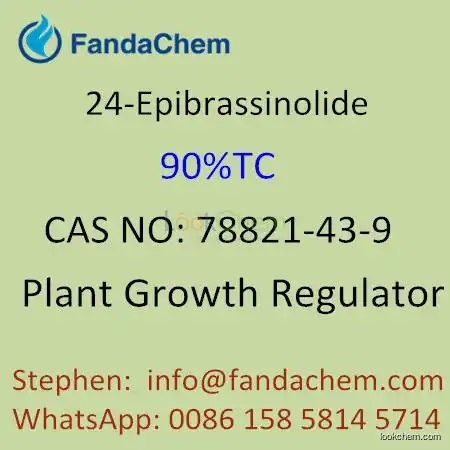 24-Epibrassinolide 90% TC, 0.1%,0.01%SP, CAS NO:78821-43-9