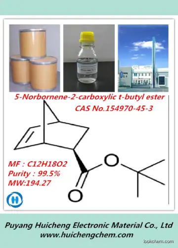 professional supplier tert-Butyl 5-norbornene-2-carboxylate