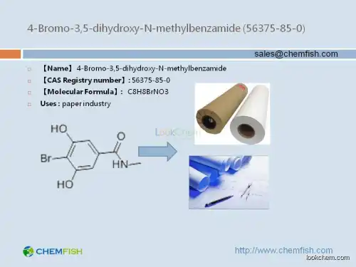 4-Bromo-3,5-dihydroxy benzoic acid methylamide