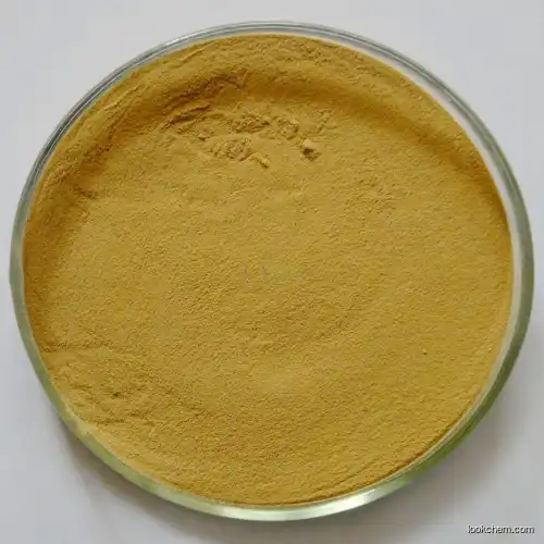 Ginger extract(84696-15-1)