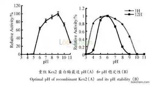 Recombinant Kex 2 Protease