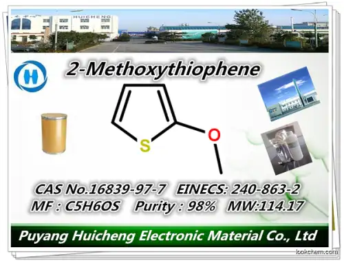 professional supplier 	2-Methoxythiophene made in China
