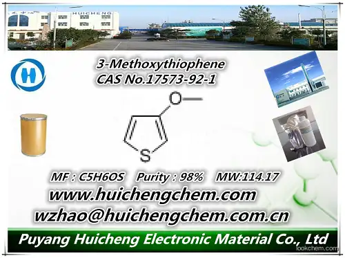 professional supplier 	3-Methoxythiophene    best selling