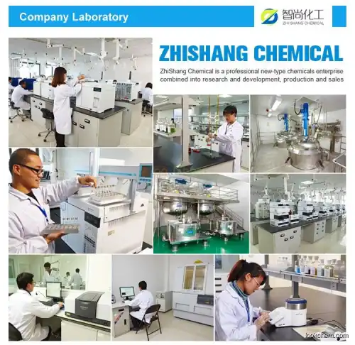 Hot Sell Sevelamer hydrochloride 152751-57-0 for anti-hyperphosphatemia
