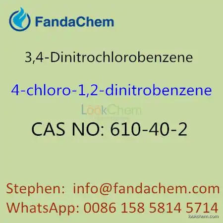 3,4-Dinitrochlorobenzene CAS NO.610-40-2