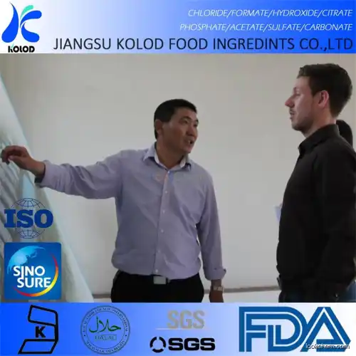 Food Grade  Disodium Phosphate Anhydrous Particle