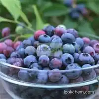 Blueberry extractCAS： 84082-34-8