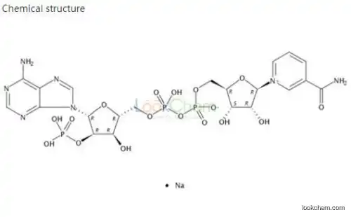 Adenine CAS 73-24-5  6-Aminpurine