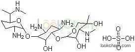 Gentamycin Solution