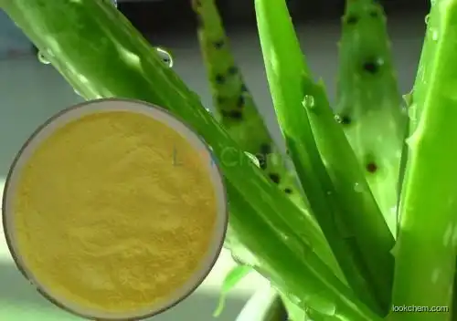 Aloe barbadensis extract