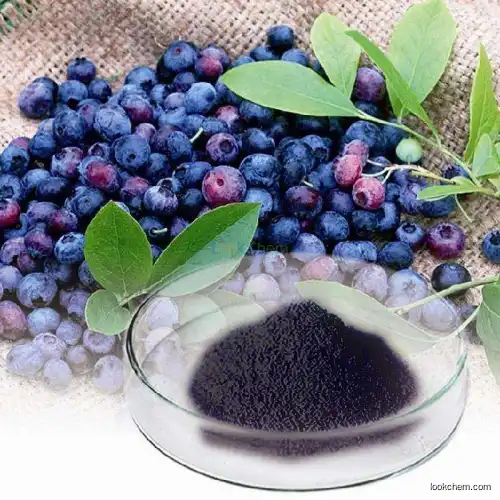 Manufacture supplier bilberry fruit powder bilberry extract/bilberry fruit p.e