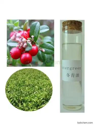 100% Pure Bulk Natural Winter Green Essential Oil in Flavour&Fragrance