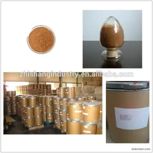 100% Natural Ginger Extract/CAS NO.:23513-14-6 with competitive price