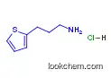 3-(2-Thienyl)-1-propylamine   6007-90-5