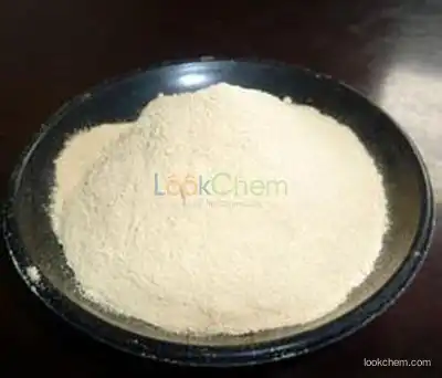 Professional supplier for Quercetin dihydrate CAS 6151-25-3 with stock !