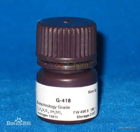 Manufacturer Top Supplier G418 (G418 disulfate salt)CAS NO.49863-47-0(49863-47-0)
