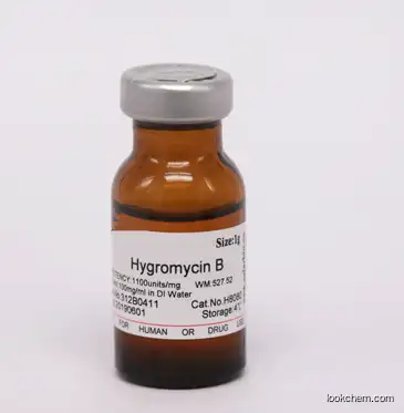 Manufacturer Top Supplier Hygromycin B purity 90% CAS NO.31282-04-9