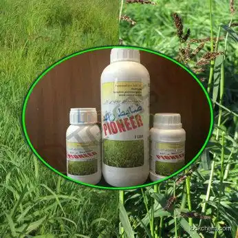 New Selective / Rice Herbicide/ Penoxsulam / High quality/ Terrastek