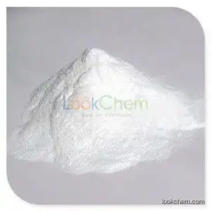 Folic acid CAS:59-30-3