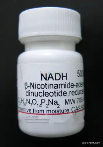 Manufacturer Top Supplier Nicotinamide adenine dinucleotide(NADH) CAS 606-68-8