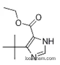 ethyl 5-(tert-butyl)-1H-imidazole-4-carboxylate