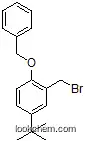1-(benzyloxy)-2-(bromomethyl)-4-tert-butylbenzene