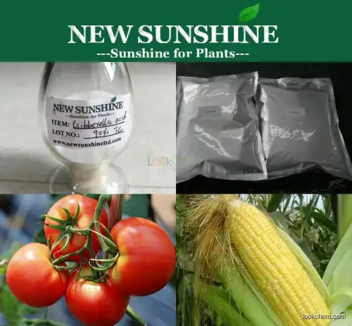 Gibberellin GA3 Plant growth regulator of Strawberry