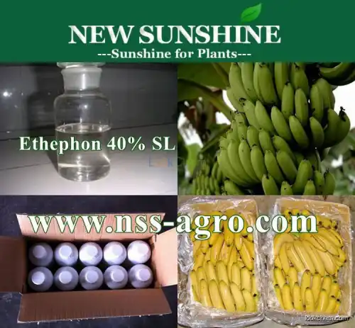 Superior quality plant growth regulator ethephon 48% SL