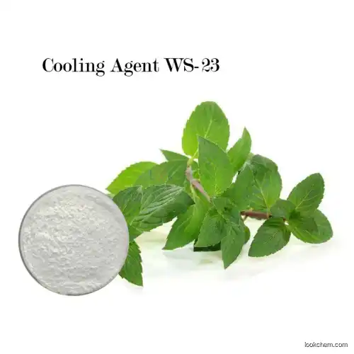 China Factory bes price White crystal powder cooling agent koolada  WS-23(51115-67-4)