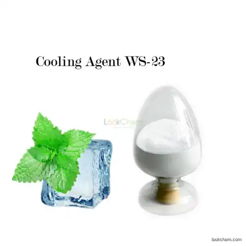 China Factory bes price White crystal powder cooling agent koolada  WS-23
