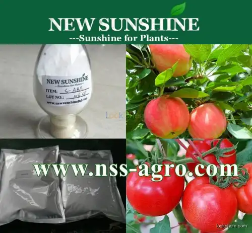 High quality Plant growth regulator Plant growth hormone