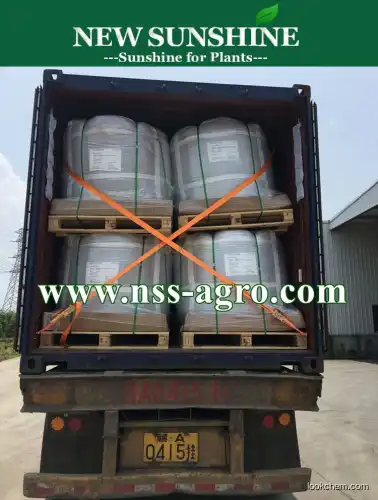 China Manufacturer Seaweed Extract Powder for Organic Fertilizer